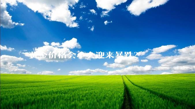黄金价格会不会迎来暴跌？